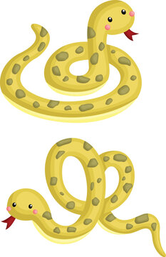 a vector of snakes with two different poses
