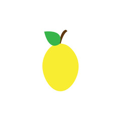 ORANGE icon logo vector design template