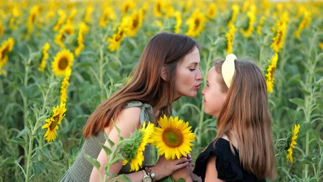 Mother kisses happy daughter on forehead accepting nice bouquet of sunflowers. Woman and teenager stand among blooming sunflower field