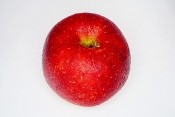 リンゴ 　紅ロマン　岩手県産