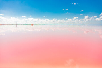 ピンクラグーン