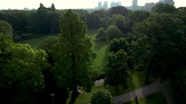 Aerial view of Oog in Al city park at early morning sunrise revealing cityscape of Utrecht, The Netherlands, backlit in the background