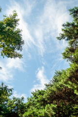 2022 korea suwon autumn