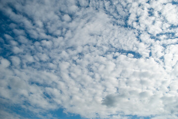 Obraz premium 2022 korea suwon autumn