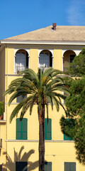 SANTA MARGHERITA LIGURE, ITALY - MAY 19, 2018:  Vertical panorama of Palm tree in front of yellow apartment building with shutters