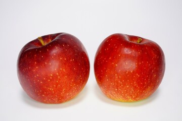 リンゴ 　紅ロマン　岩手県産