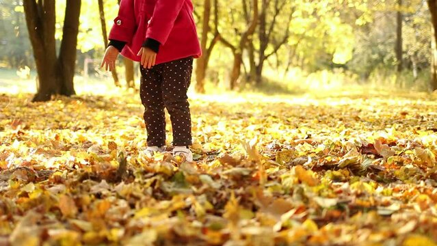 The cute little girl in the red coat is throwing yellow fallen autumn leaves up, while having fun and playing outdoors in the fall season. Child tossing colorful autumn foliage up in the air in the pa