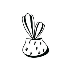 Cactus doodle outline. Element of the nature of plant. Vector hand draw icon. 