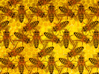 Bees working on honeycombs. Yellow tones background.