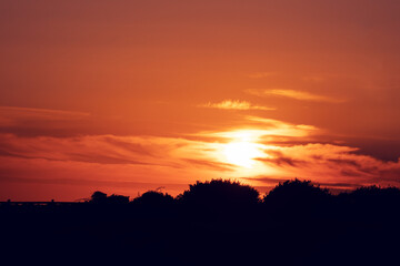 Sunset Sunrise scene in open field with tall grass and with warm orange color. Calm and peaceful nature scene.