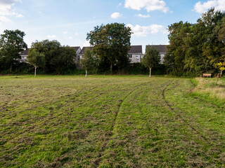 Freshly cut grass in a green field with tractor track and houses in the background. Park maintenance.