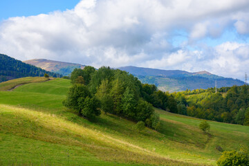 mountain landscape in early autumn. trees on the grassy hill in dappled light. ridge in the...