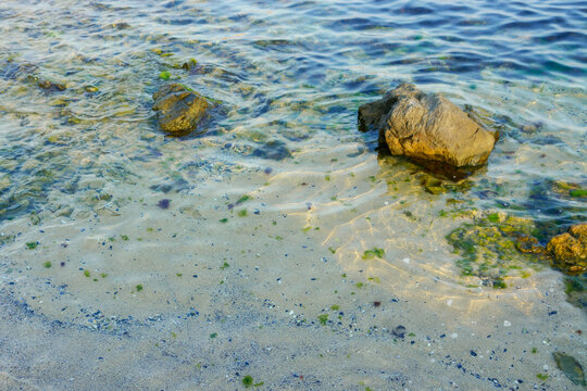 rocks in the water at the sea shore. nature background on the sandy beach in morning light