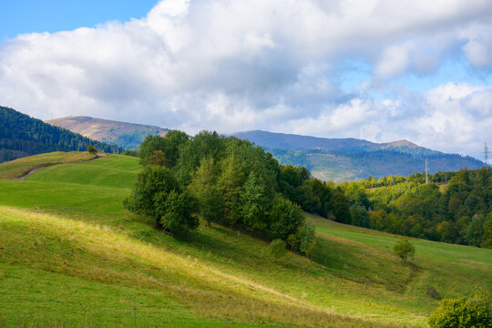 mountain landscape in early autumn. trees on the grassy hill in dappled light. ridge in the distance beneath a cloudy sky