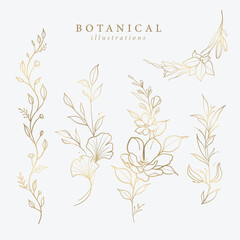 Botanical Illustrations Leaf Flower Gold Line Art