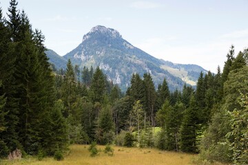 Bruennstein, 1619m, Mangfall Mountains, Bavarian Alps, Upper Bavaria, Bavaria, Germany, Europe
