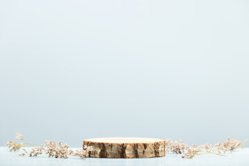 Wood slice podium and dry flowers on blue background for cosmetic product mockup
