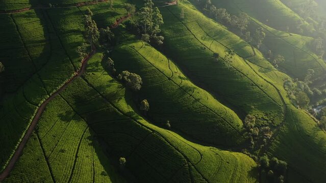 Aerial Drone View of Scenery Road Through Green Mountains Hills and