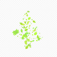 Leaves Falling Spring Flying Foliage Green Leaf