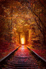 Famous Autumn Trees Tunnel with old railway - Tunnel of Love. Natural tunnel of love formed by...