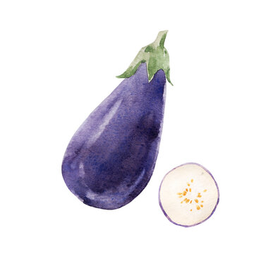 Beautiful stock clip art illustration with hand drawn watercolor tasty eggplant vegetable. Healthy vegan food.
