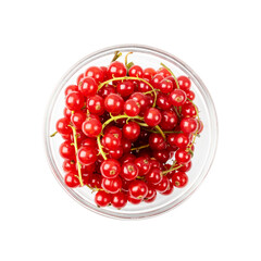 Red Currant Pile Isolated