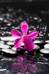 Rolgordijnen spa still life of withpink  orchid and  and zen black stones ,wet background  © Mee Ting