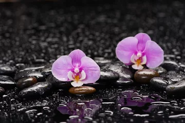 Fotobehang spa still life of with macro of orchid and zen black stones wet background  © Mee Ting
