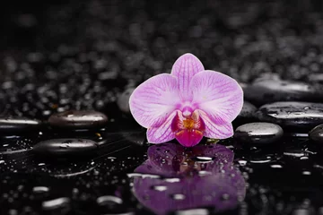 Poster spa still life of with macro of orchid and zen black stones wet background  © Mee Ting