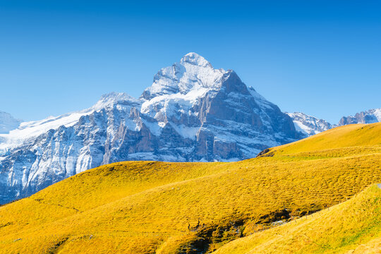 Mountains peaks. Natural landscape. Mountain range and clear blue sky. Landscape in the summertime. Large resolution photo.