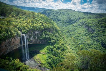 Shot of an Atlantic forest with a waterfall and blue background