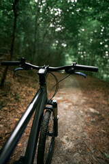 Fototapeta na wymiar Mountain bike in the woods. Bicycle with forest background. Active outdoor lifestyle concept.