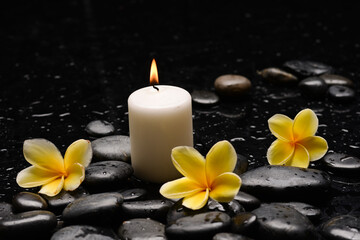Fototapeta na wymiar spa still life of with yellow frangipani and green plants leaves white,candle