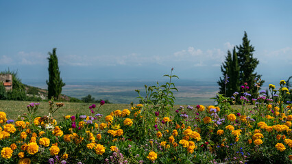 Obraz premium Panoramic view of the Alazani valley Sighnaghi, Georgia.