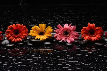 Rolgordijnen still life of with  sunflower and zen black stones ,wet background  © Mee Ting
