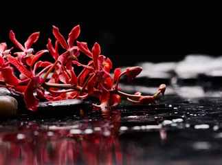 Wandcirkels aluminium spa still life of with lying on  branch orchid and zen black stones wet background  © Mee Ting
