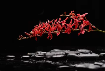 Wandcirkels aluminium spa still life of with lying on  branch orchid and zen black stones wet background  © Mee Ting