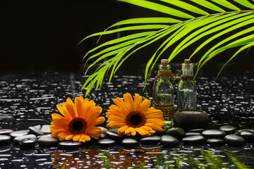 still life of with
sunflower ,palm and zen black stones ,wet background
- 528391164