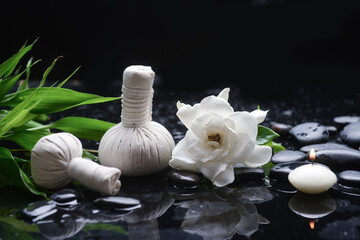 Fototapeta na wymiar Still life of with gardenia with green leaves, and spa ball ,candle zen black stones on wet background 