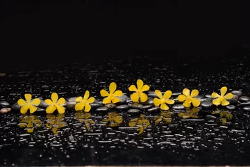 Deurstickers Still life of with  Yellow row of orchid and zen black stones on wet background  © Mee Ting