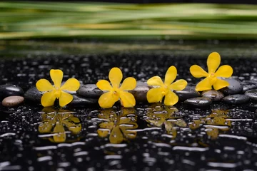 Foto op Plexiglas Still life of with  Yellow row of orchid with green plants and zen black stones on wet background  © Mee Ting