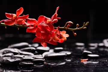 Rolgordijnen Still life of with lying on   Branch red orchid , and zen black stones on wet background  © Mee Ting