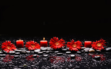 Still life of with 
Row of red flower , with red candle and zen black stones on wet background
