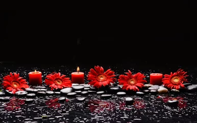 Foto op Plexiglas Still life of with  Row of red flower , with red candle and zen black stones on wet background  © Mee Ting