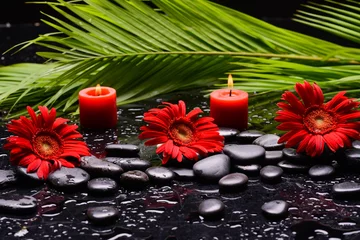 Rolgordijnen Still life of with Three red flower ,candle and zen black stones ,green palm wet background © Mee Ting