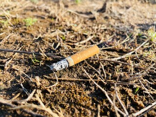 Closeup of a burnt cigarette butt laying on a forest ground