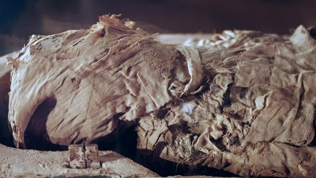 A bandaged Egyptian mummy Sarcophagus on exhibition in a museum glass cabinet