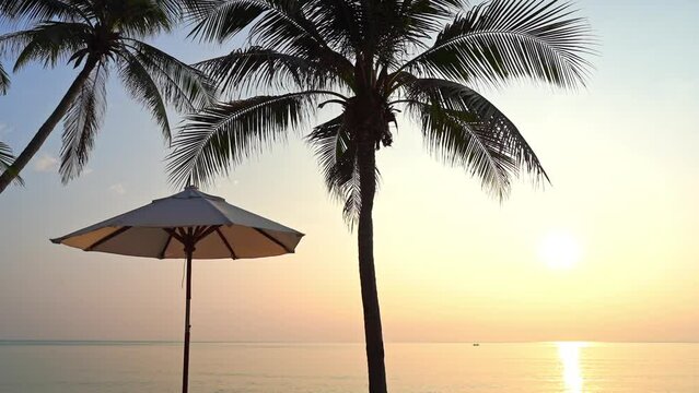 Golden Hour Sunlight Above Caribbean Sea, Beach Parasol, Coconut and Palm Tree
