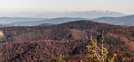 Tatra mountains from Velka Raca hill in Beskid Zywiecki mountains on polish - slovakian borders