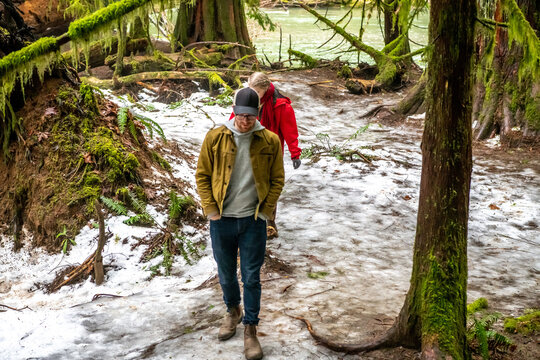 Two people walking in winter woods, MacMillan Provincial Park, Vancouver island, Vancouver, British Columbia, Canada